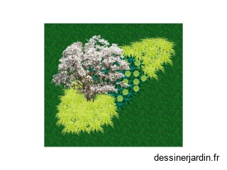 massif IFSA devoir 14