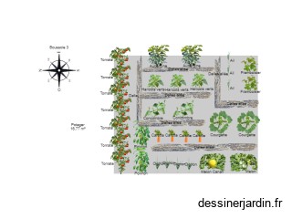 mon 1 er potager