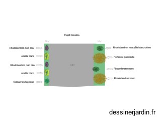 projet Cimolino