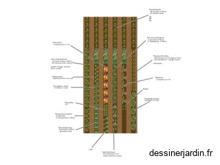 Serre