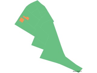 mansonplante