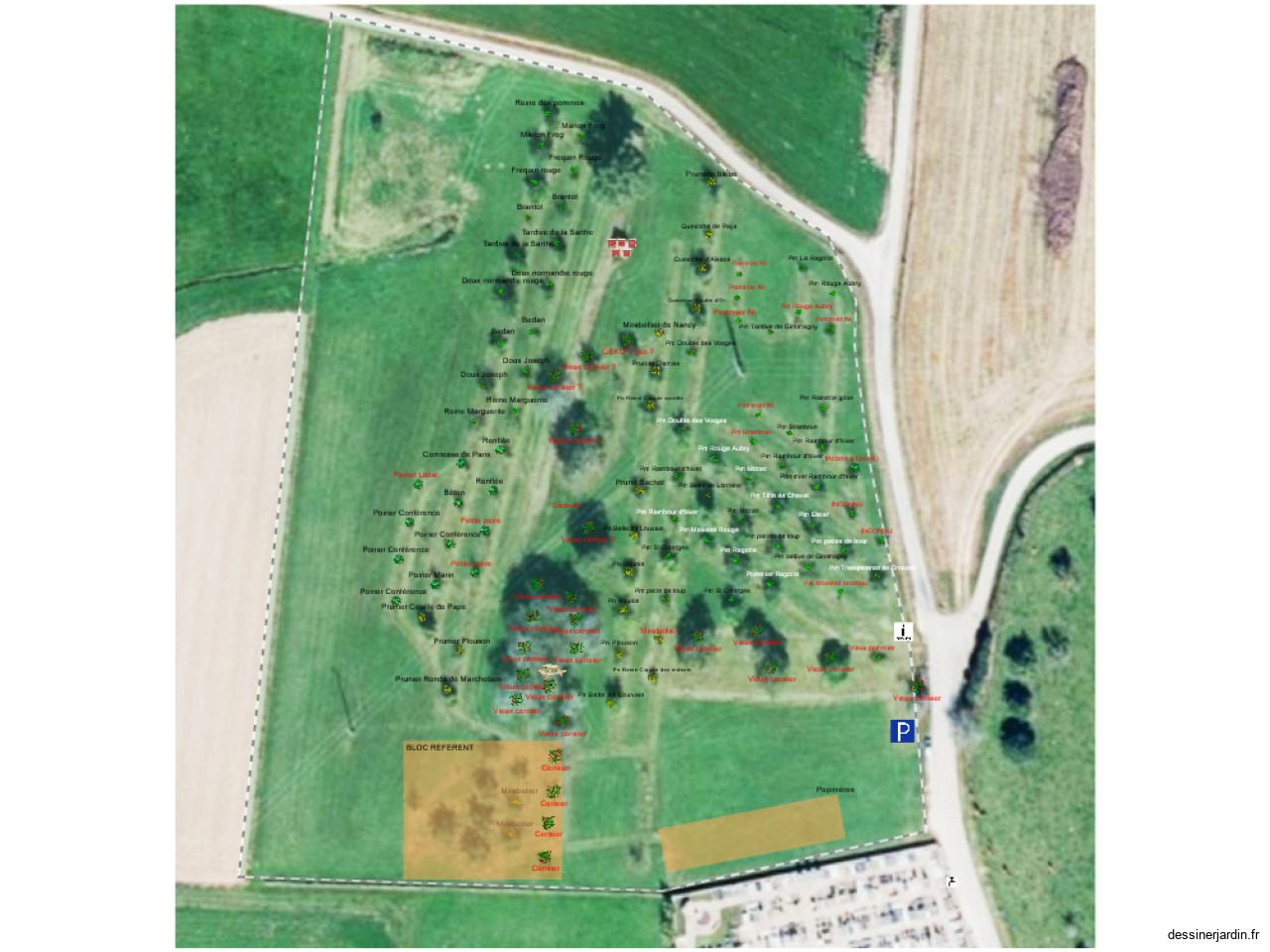 Verger conservatoire V3