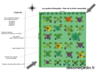 Plan foret comestible