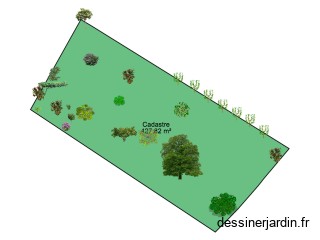 dpz