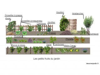 PETITS FRUITS
