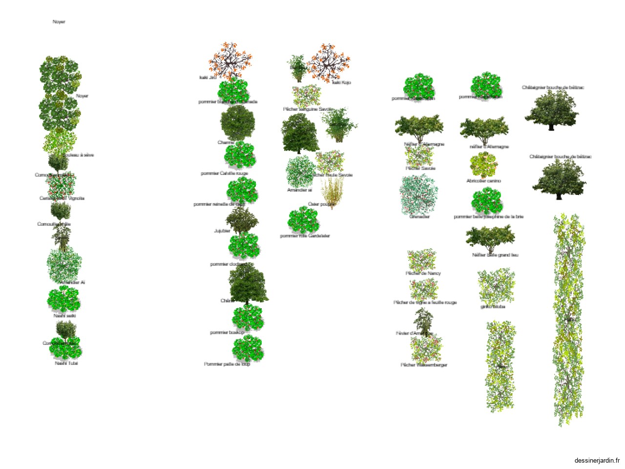 Foret jardin plan 3