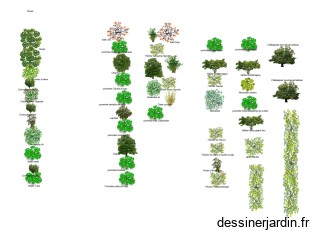 Foret jardin plan 3