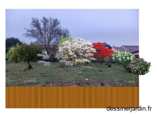 jardin arbres
