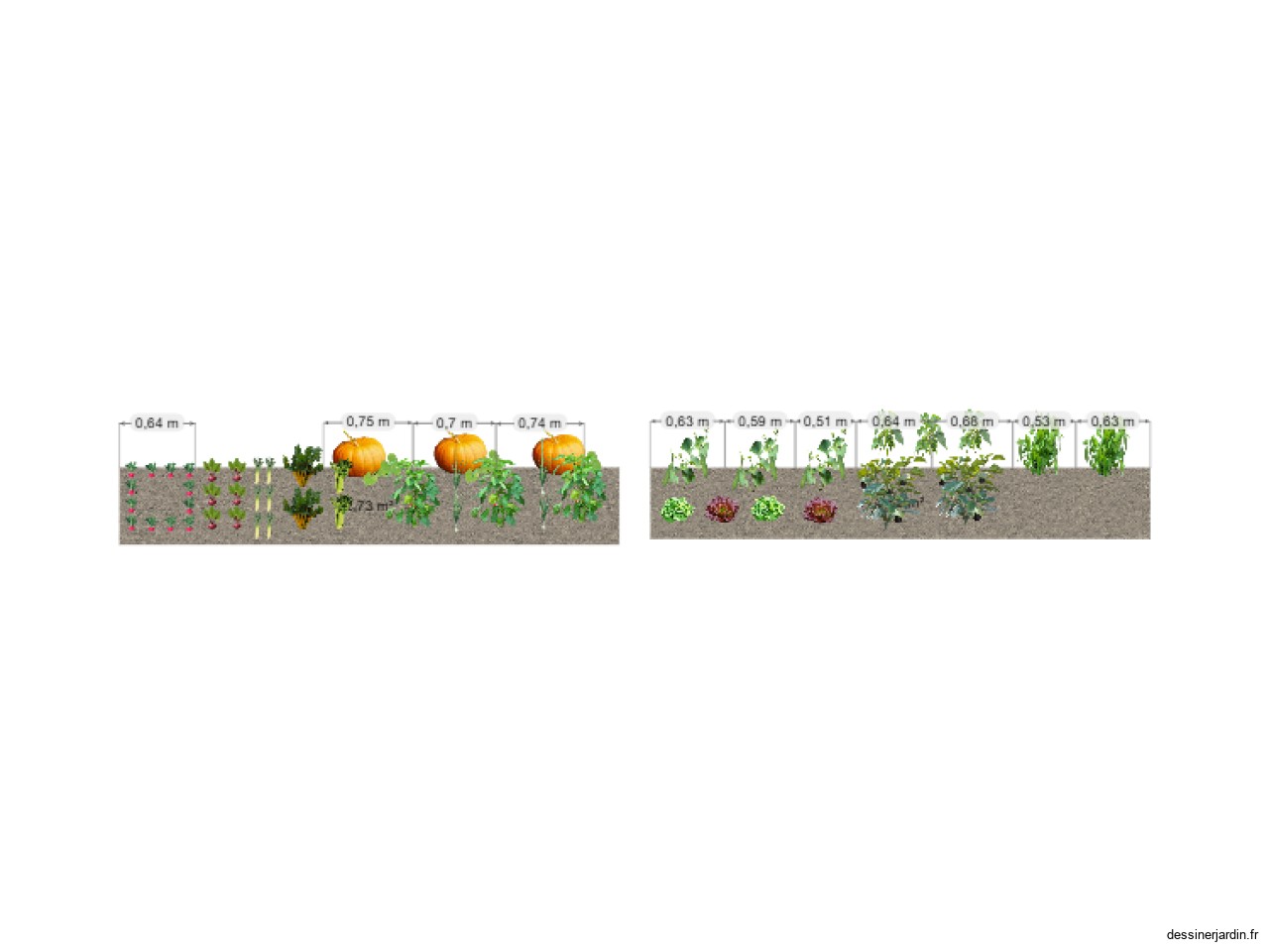 Potager 2