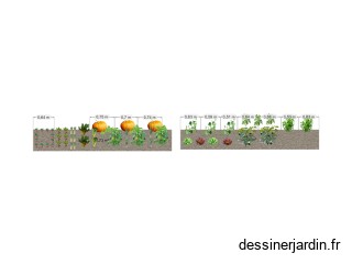 Potager 2