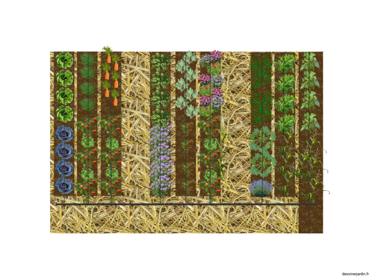 Potager 2024