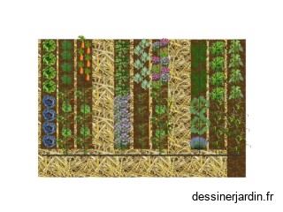 Potager 2024