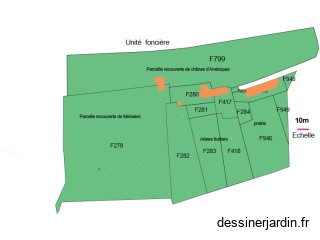 plan masse DP02