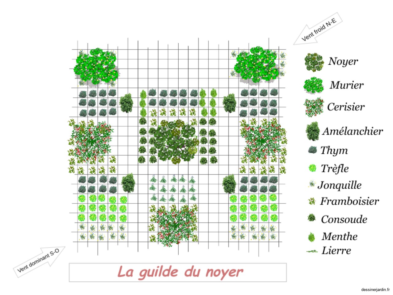 Guilde noyer