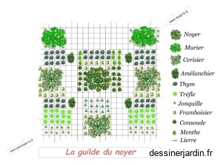 Guilde noyer