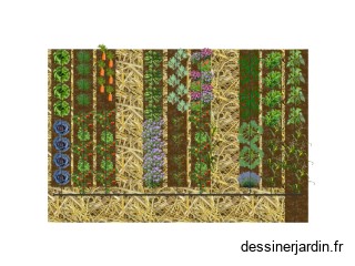 Potager 2023