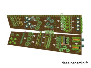 Le potager d'Apol 2