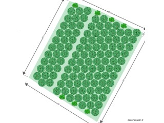 verger Preuilly sur Claise avec allée centrale