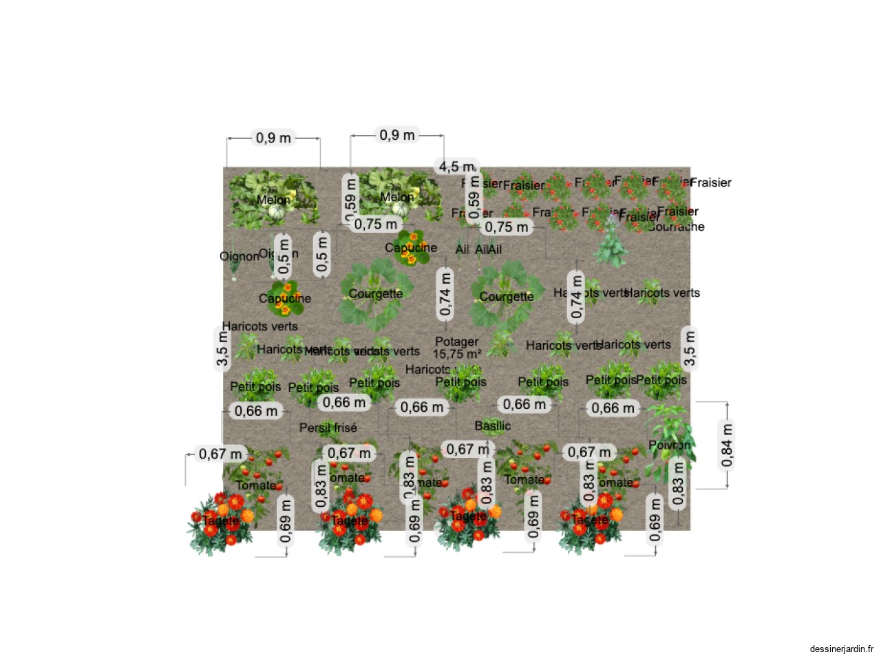 POTAGER 2025