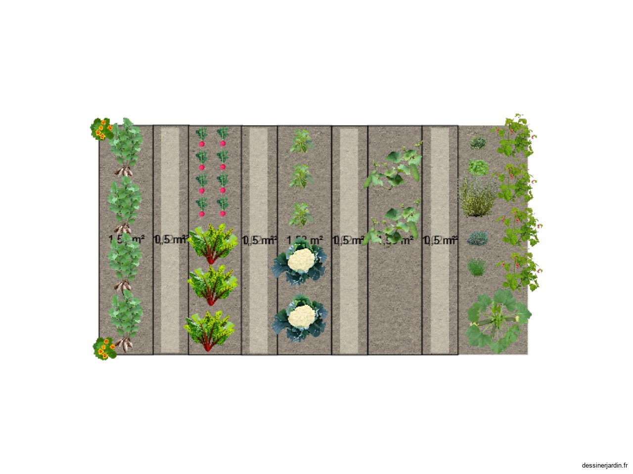 Potager2