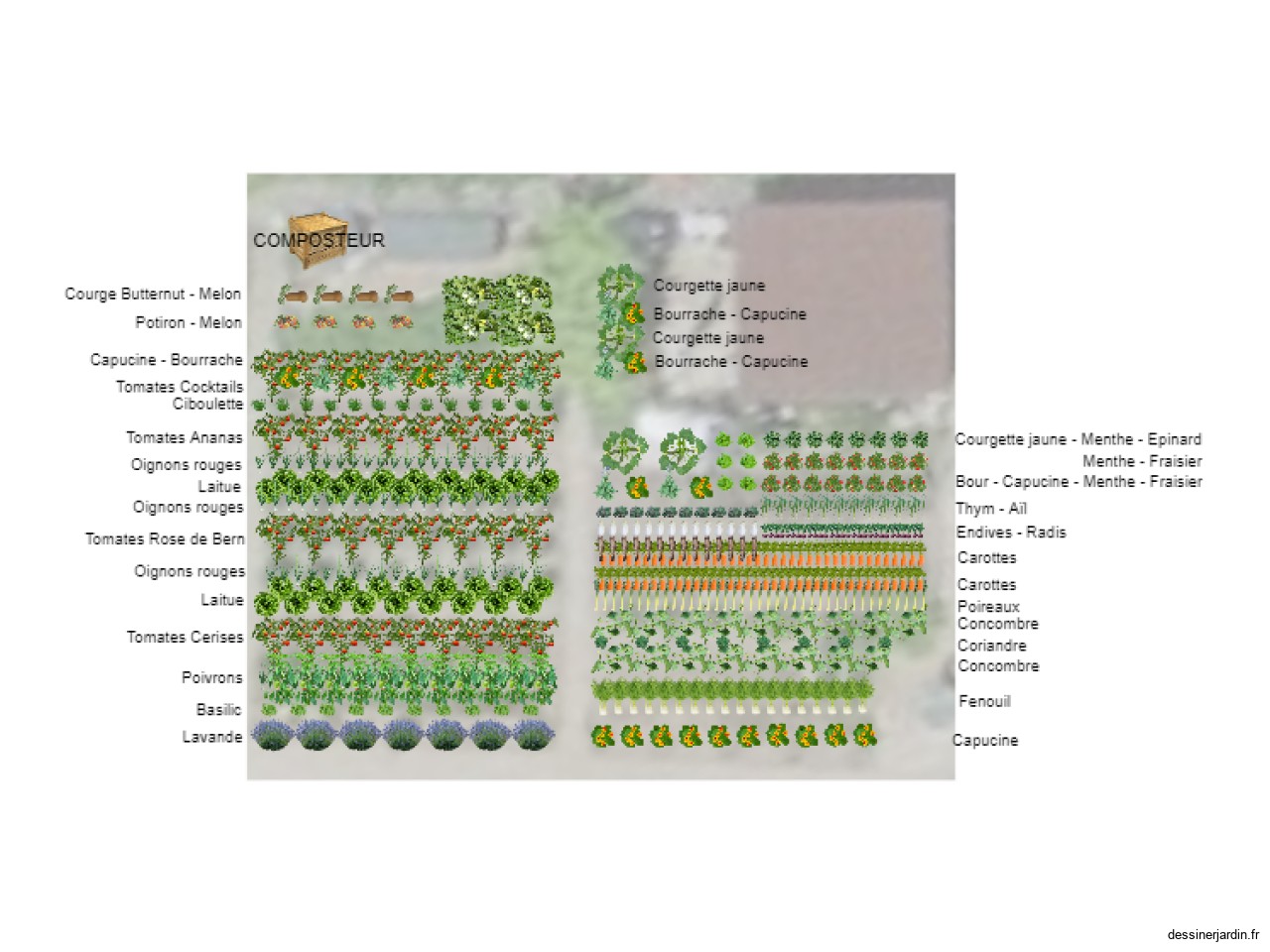 Family Veggie Garden 1st round 2024