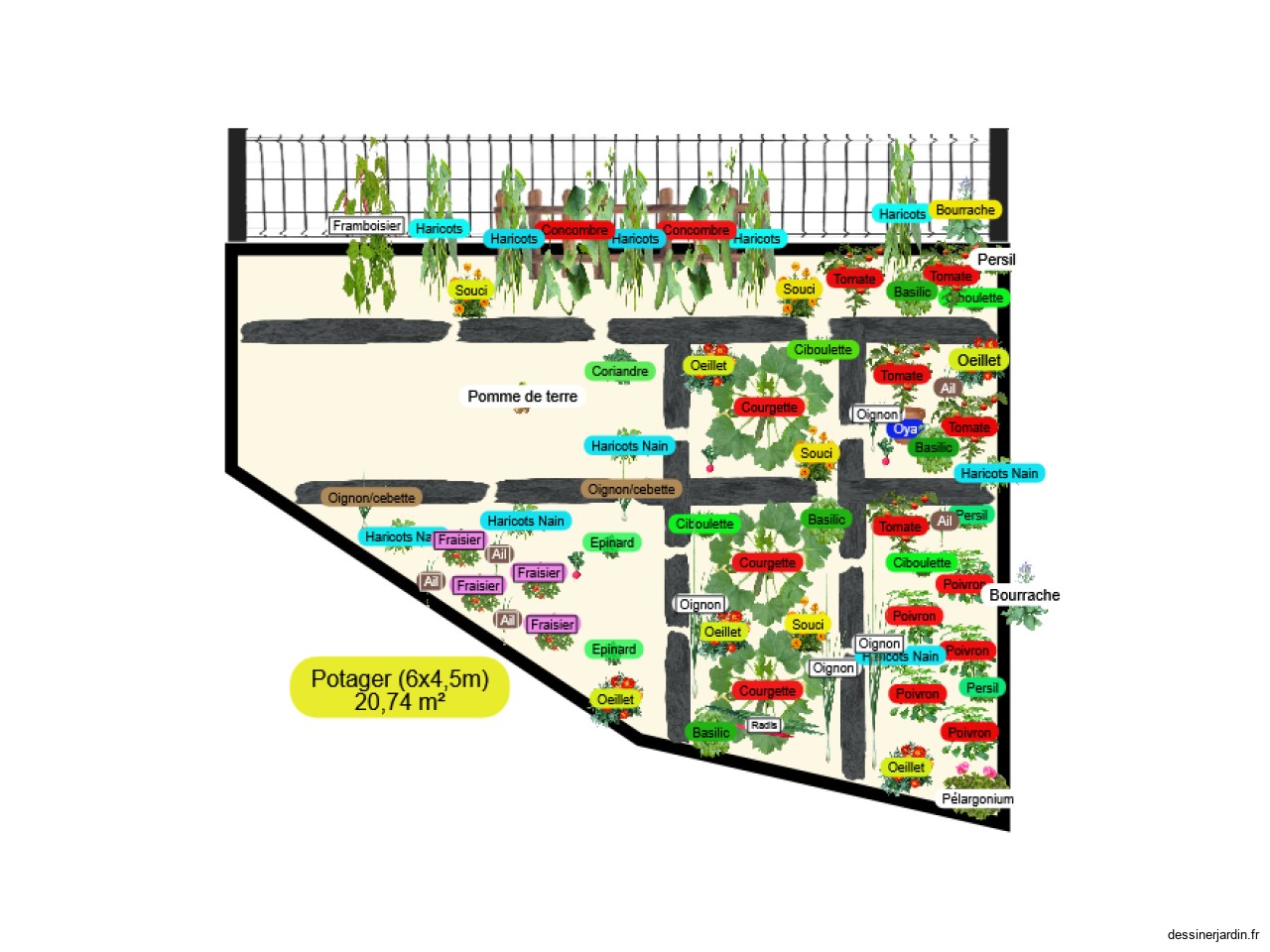 Mon potager 2025-3