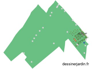 projet 1