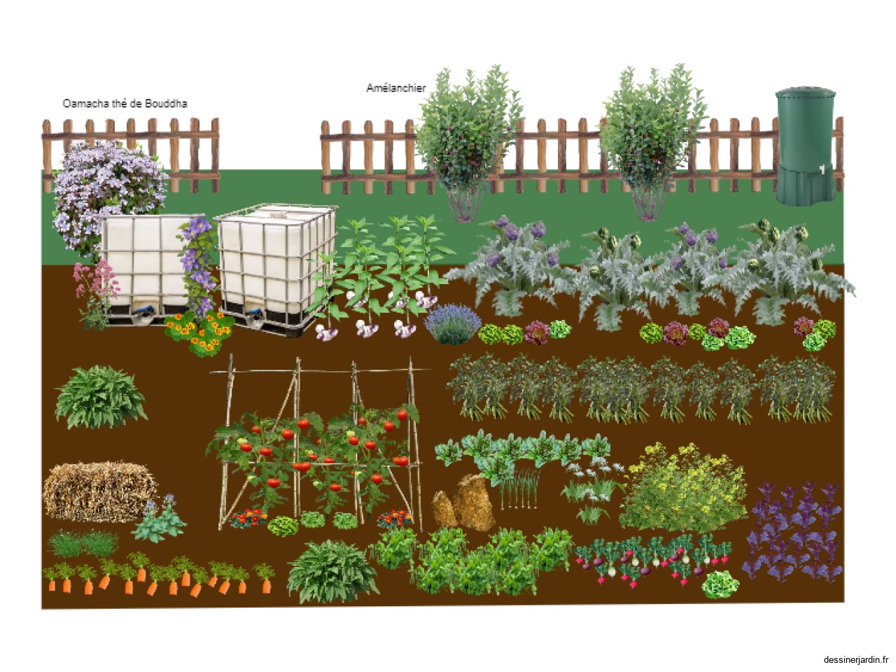 jardin potager