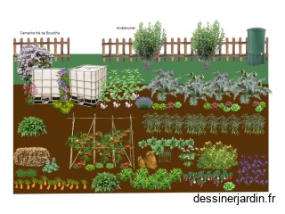 jardin potager