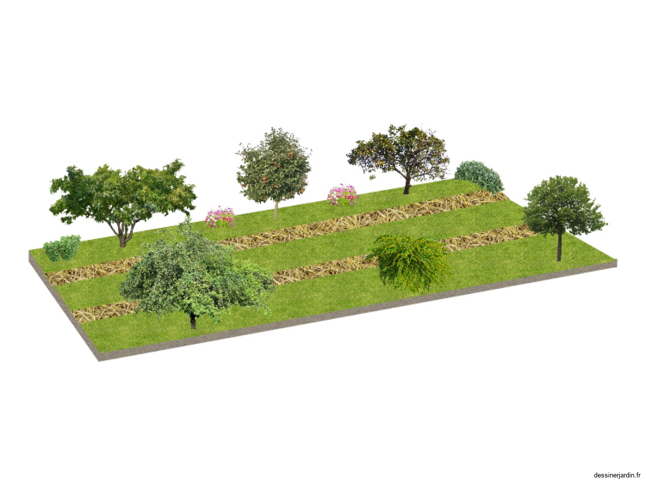 foret jardin 