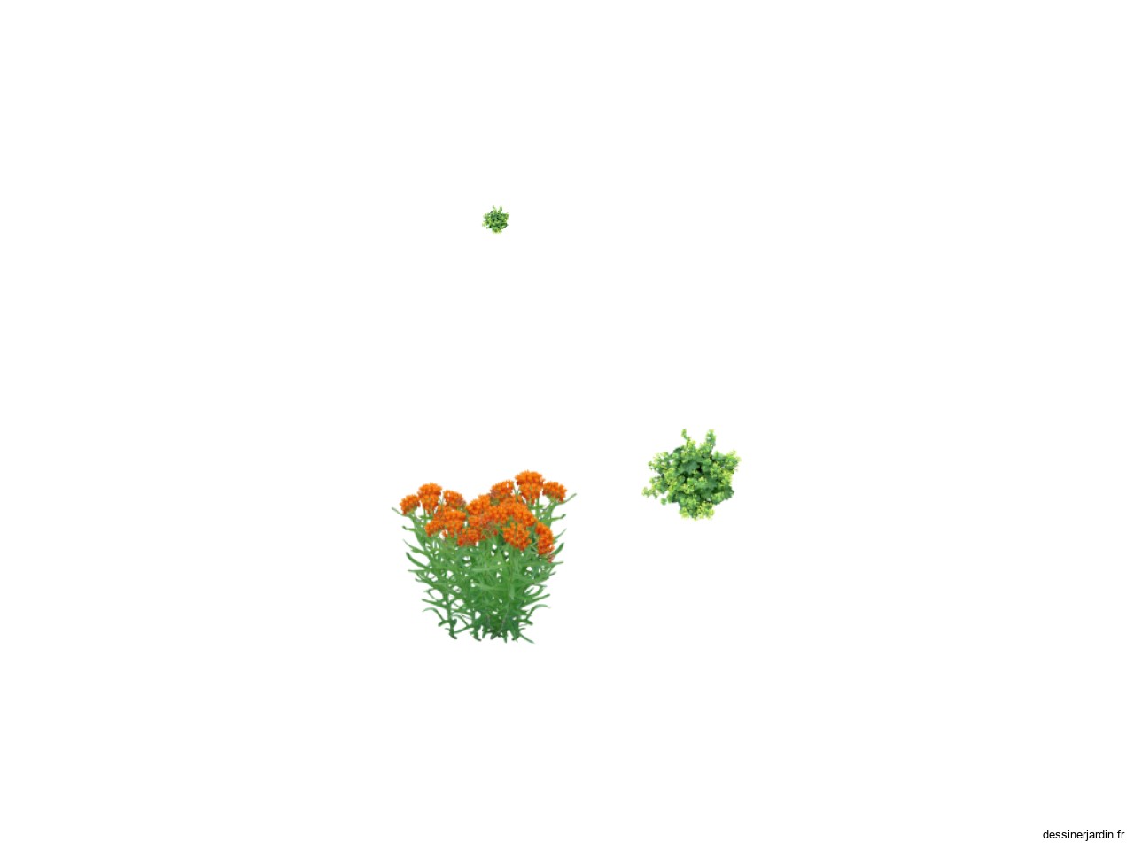 Jardin de fleurs 