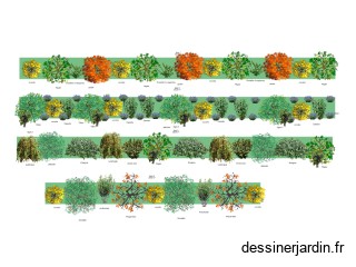 foret jardin 