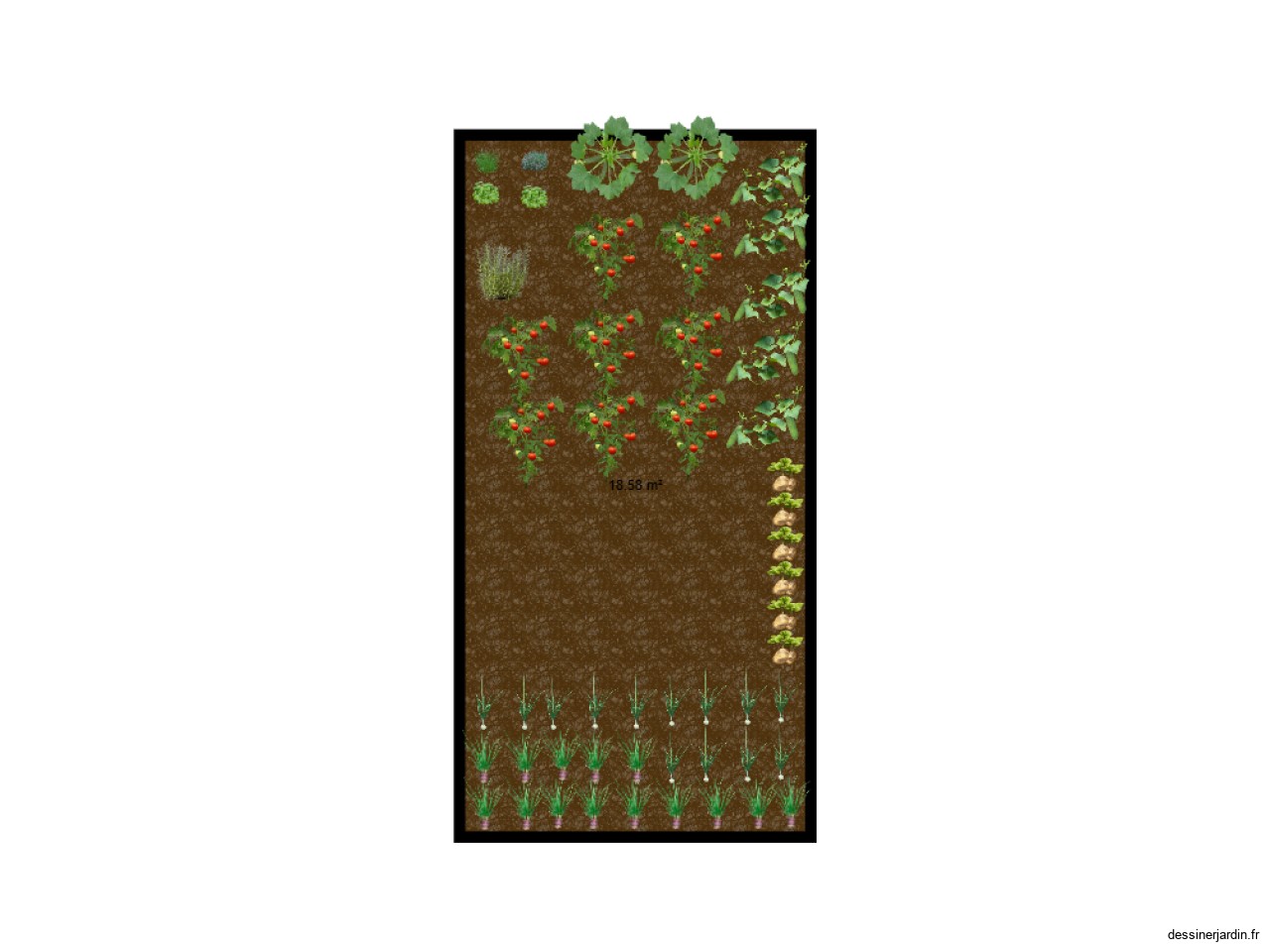 Jardin 2