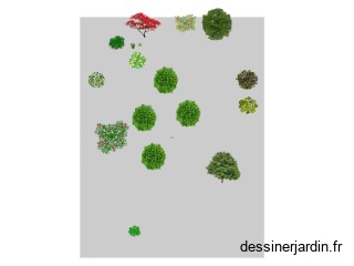 Jardin arboré avant 01