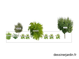 Jardin foret vue de coupe côté Est