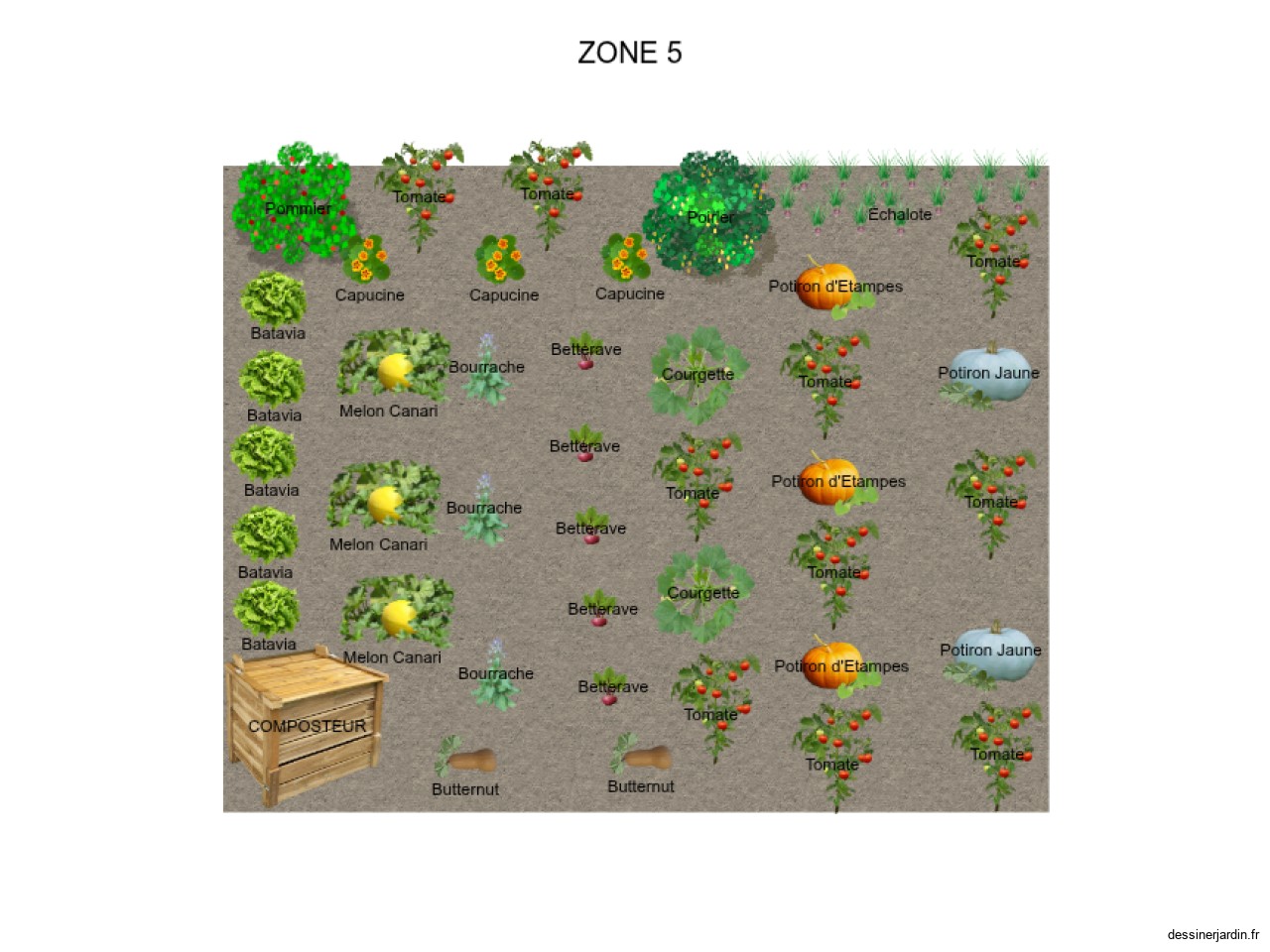 ZONE 5