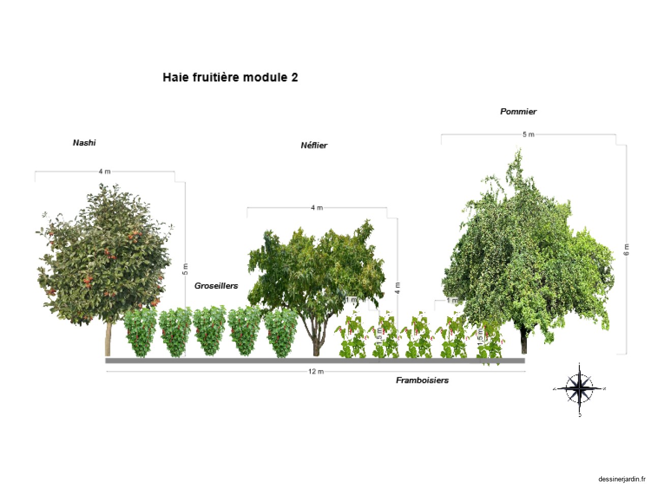 haie fruitière module 2