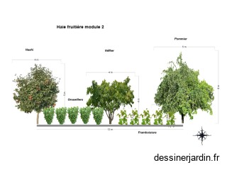 haie fruitière module 2