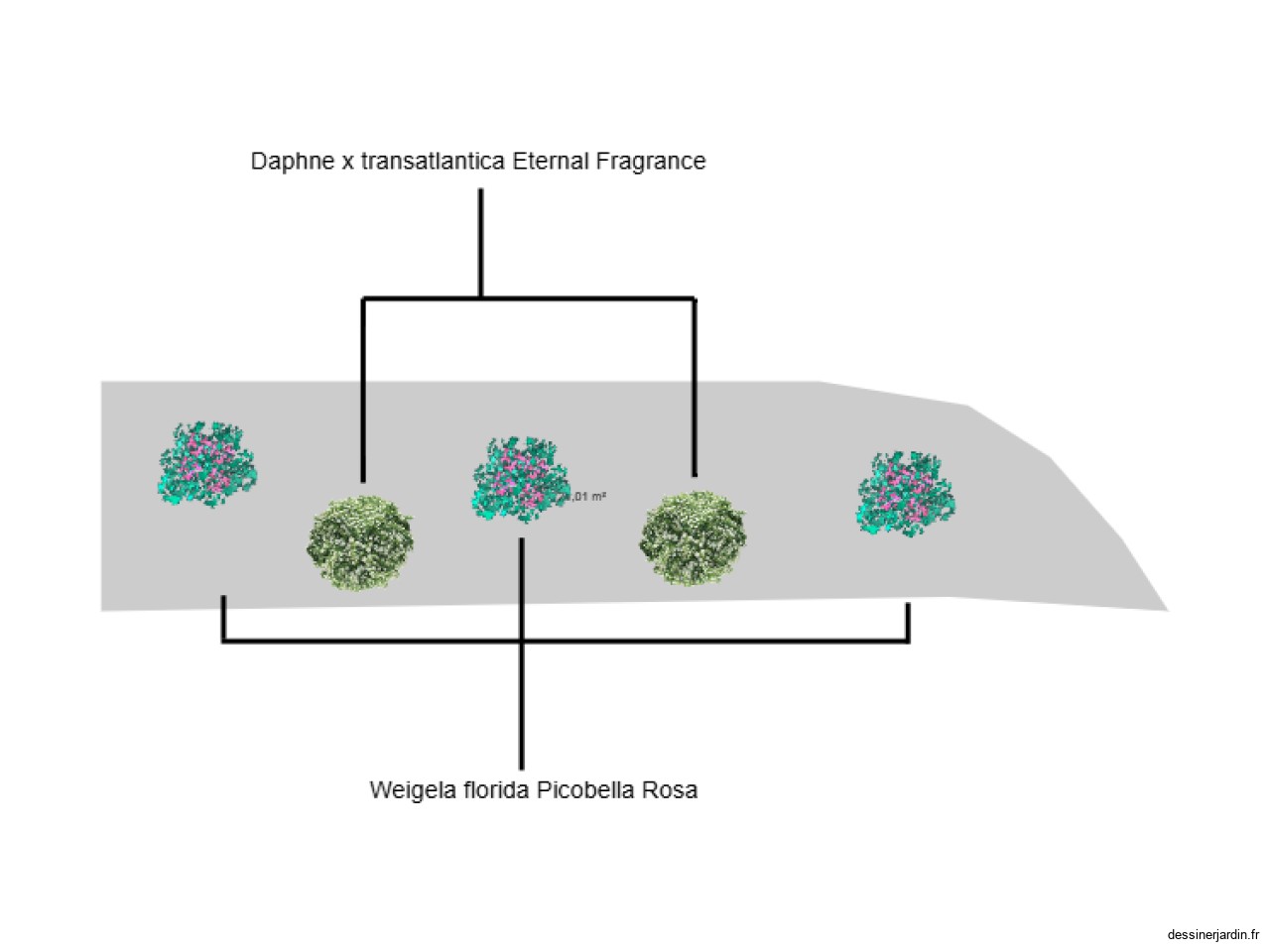 massif galet médiathèque