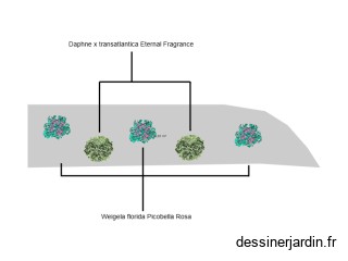 massif galet médiathèque