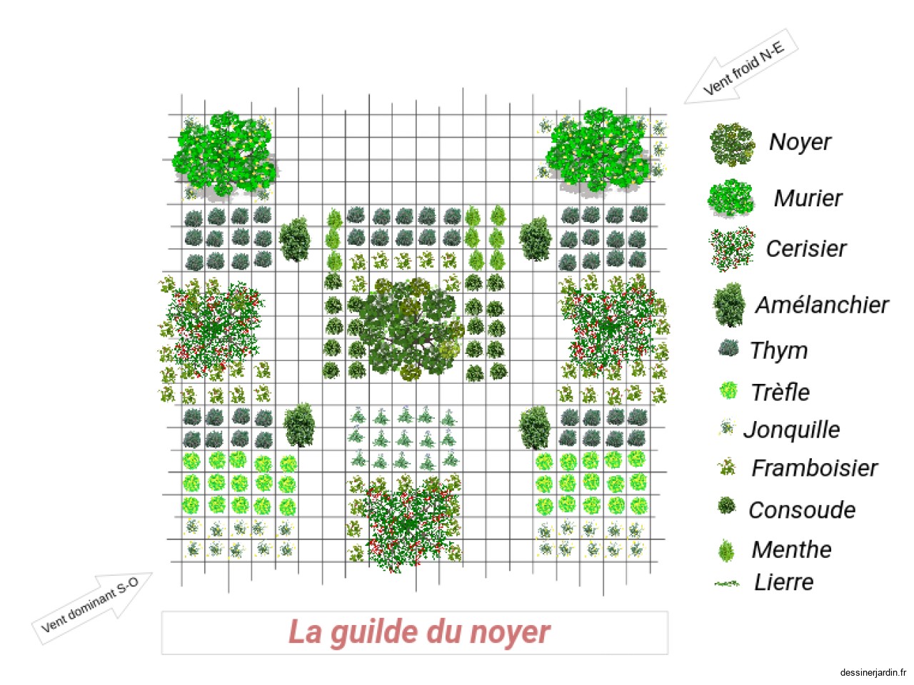 Guilde noyer