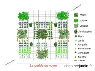 Guilde noyer