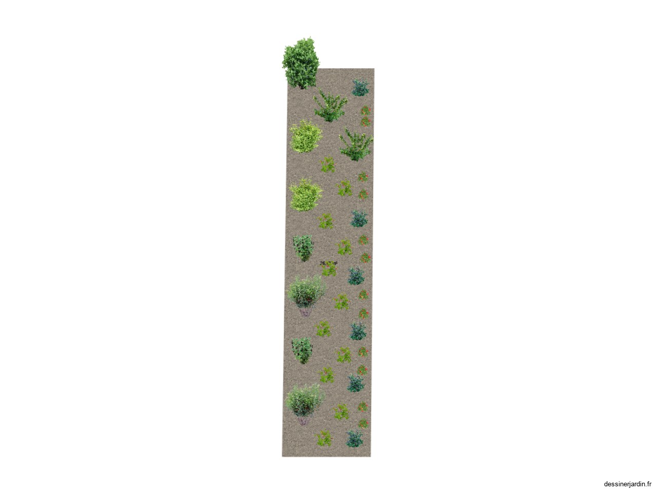 jardin arbustes fruitiers