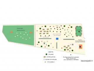 plan arbres