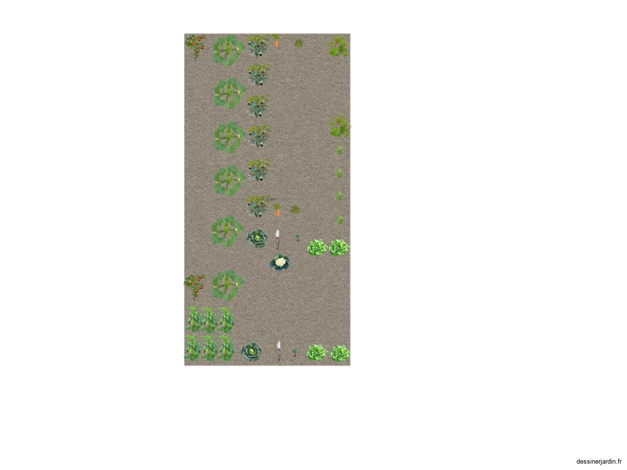 potager2