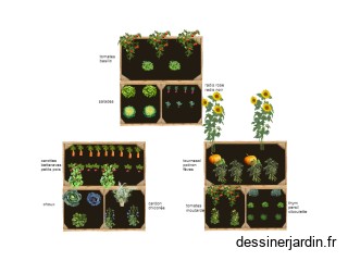carrés potagers école