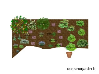 jardin de plantes médicinales