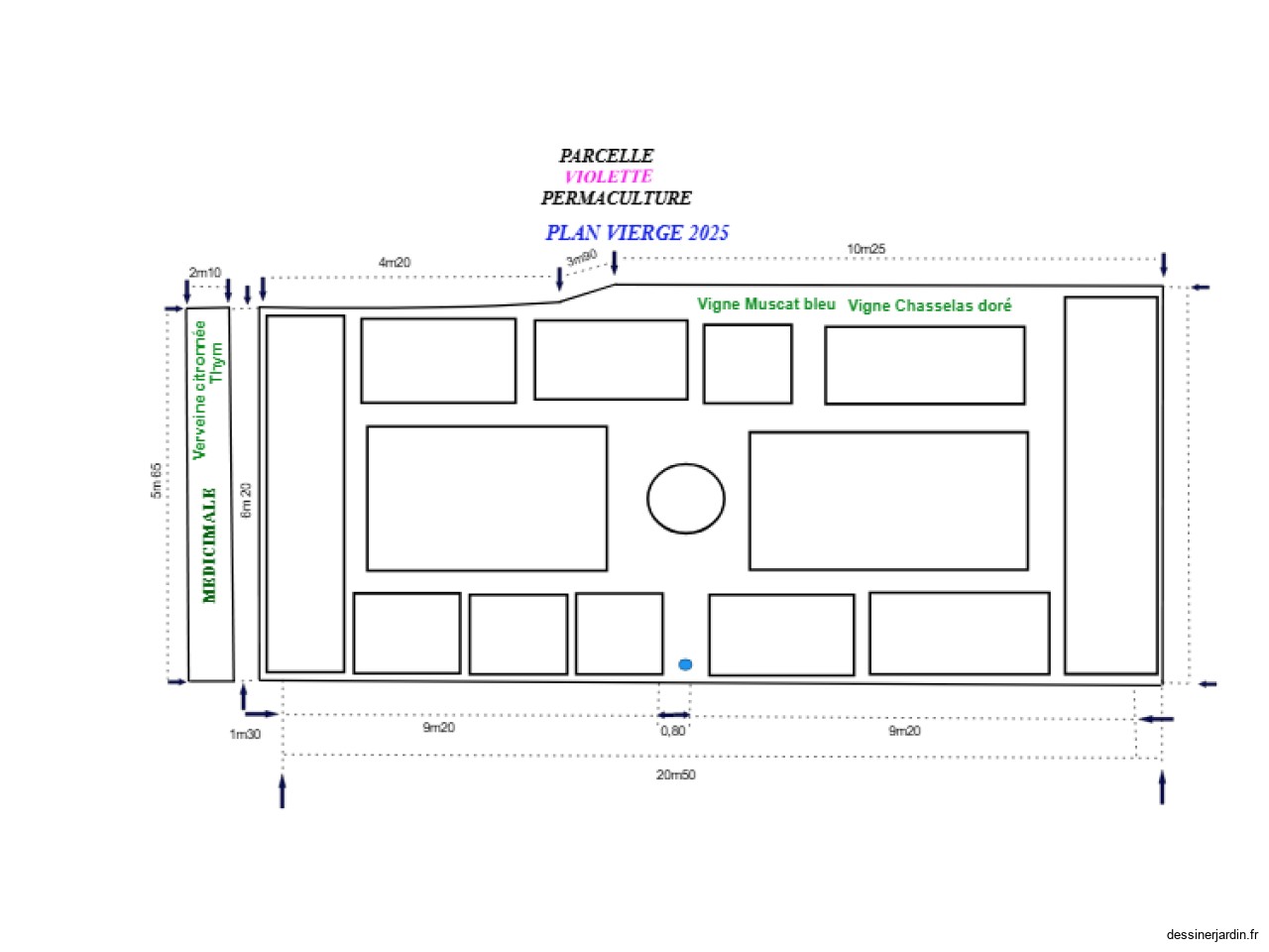 PLAN VIERGE  - PERMACULTURE  2025