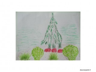 dessin conifere