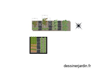 planches2-3